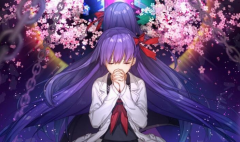 FateGrandOrder蓝卡队搭配技巧分享 FateGrandOrder蓝卡队搭配技巧分享