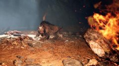 《孤岛惊魂:原始杀戮》通关小技巧心得 《孤岛惊魂:原始杀戮》通关小技巧心得